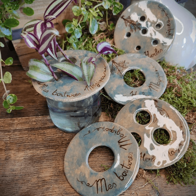 Bobèche de bouturage