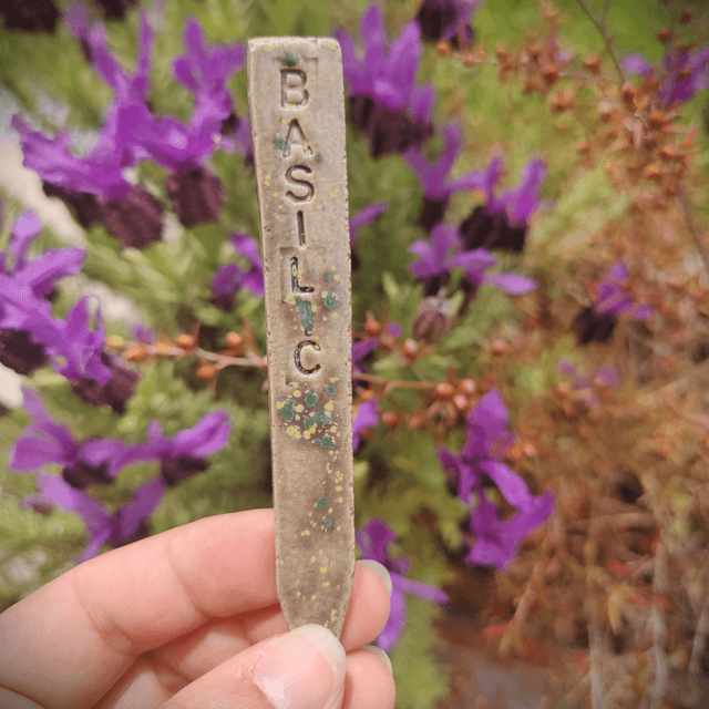 Marqueurs Aromatiques Forest