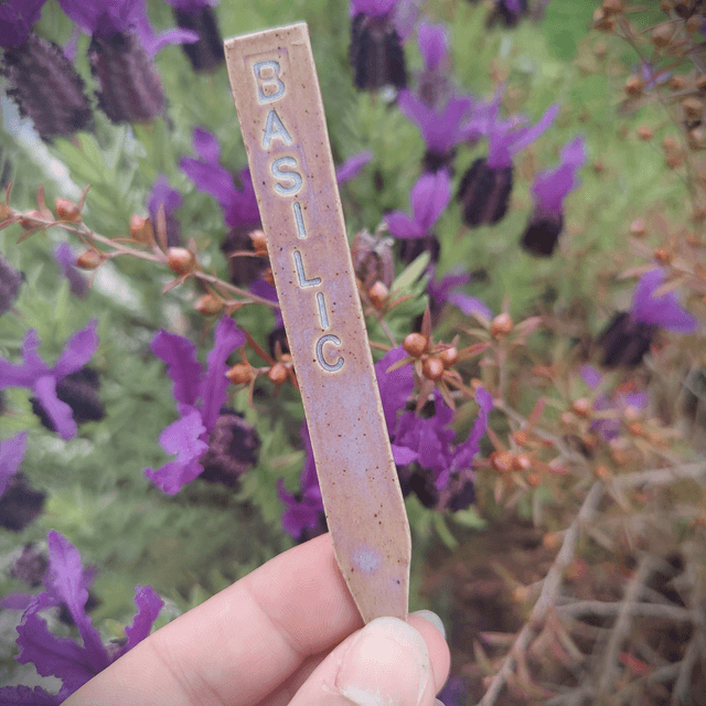 Marqueurs Aromatique Mélusine